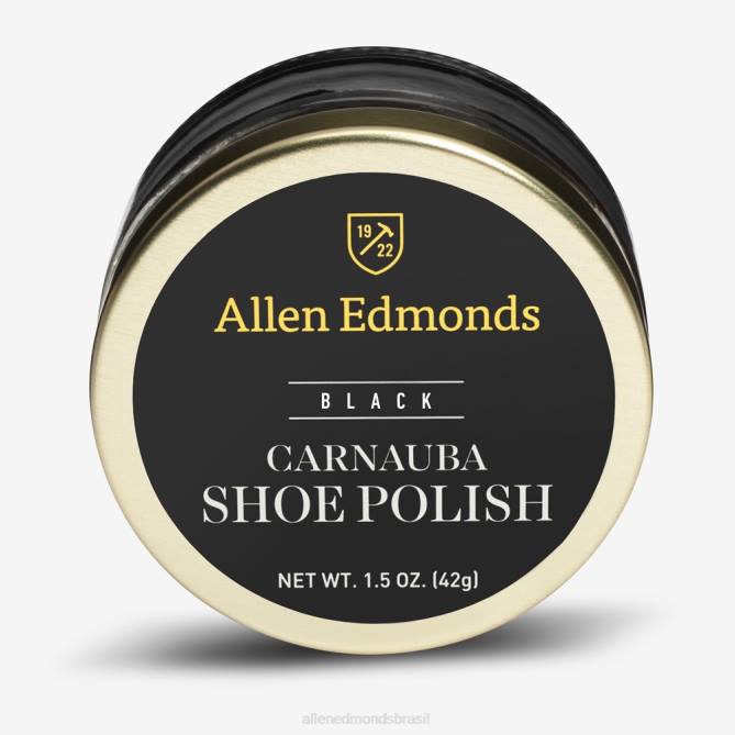 Allen Edmonds unissex cera de carnaúba tamanho viagem 68T8D409 preto