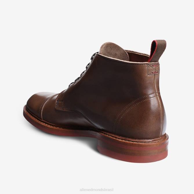 Allen Edmonds homens Bota biqueira à prova de intempéries Patton 68T8D467 natural
