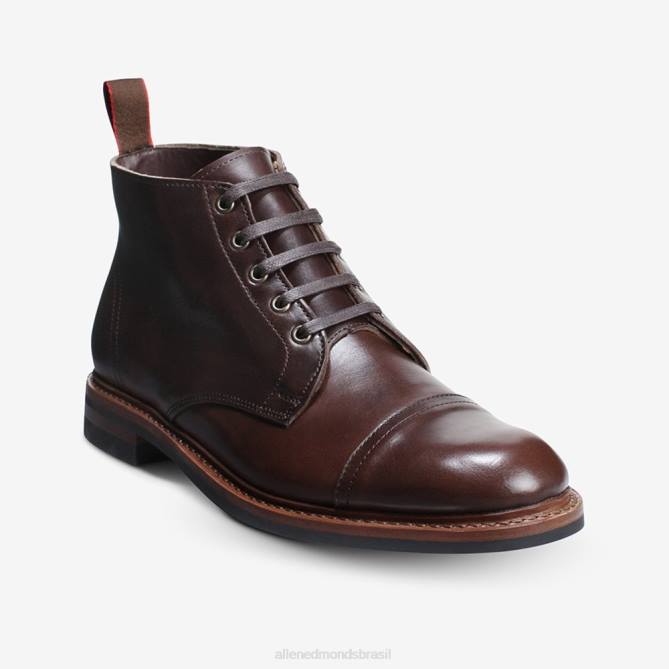 Allen Edmonds homens Bota biqueira à prova de intempéries Patton 68T8D58 marrom