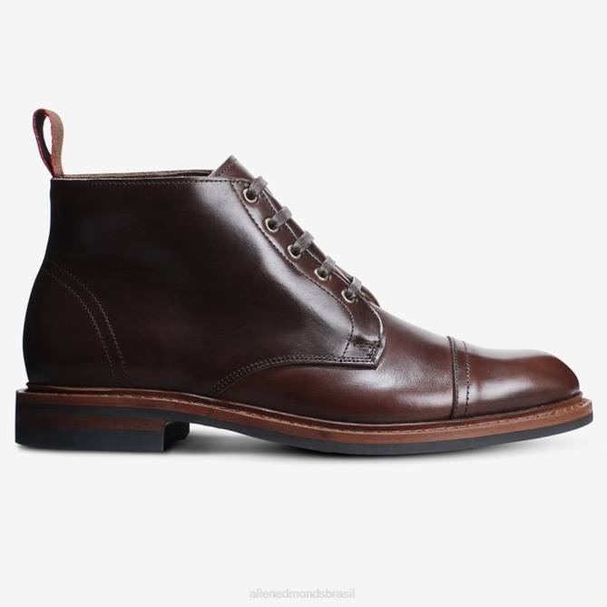 Allen Edmonds homens Bota biqueira à prova de intempéries Patton 68T8D58 marrom