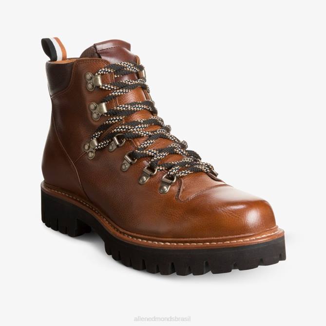 Allen Edmonds homens bota aspen hiker à prova de intempéries 68T8D74 grão castanho