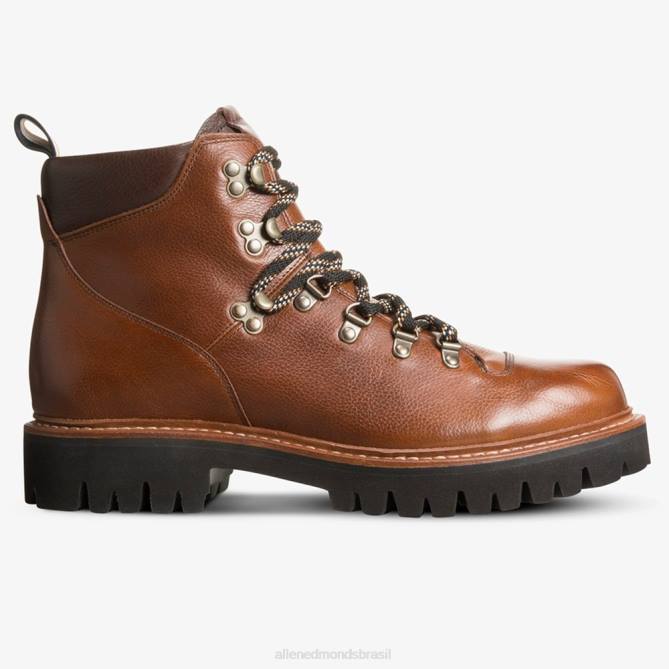 Allen Edmonds homens bota aspen hiker à prova de intempéries 68T8D74 grão castanho