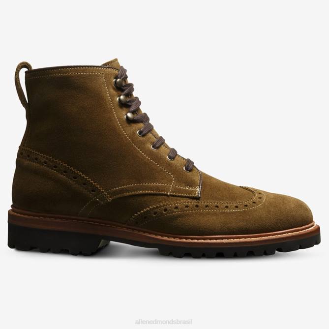 Allen Edmonds homens bota astor ponta de asa 68T8D486 verde alcaparra