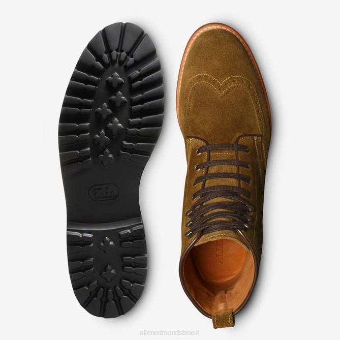 Allen Edmonds homens bota astor ponta de asa 68T8D486 verde alcaparra
