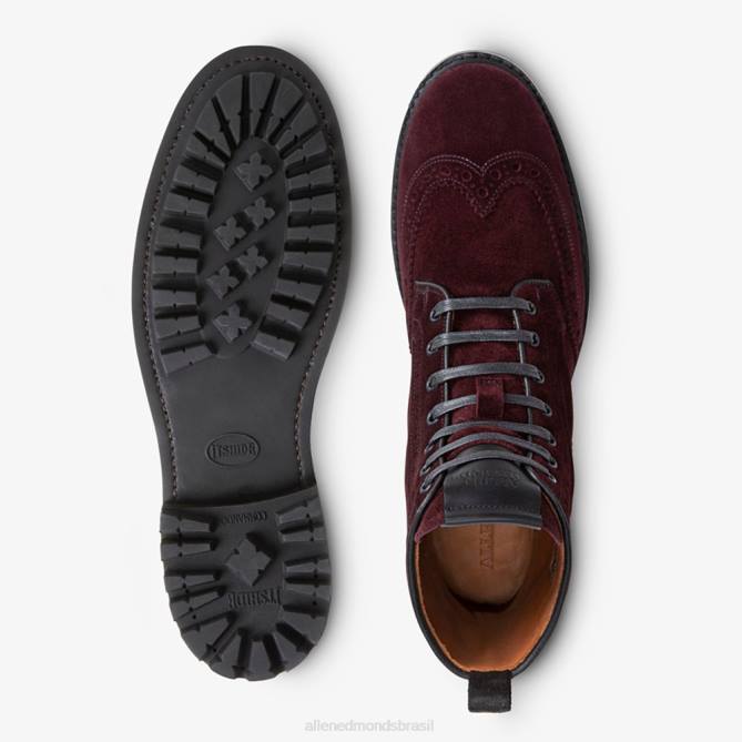Allen Edmonds homens bota de ponta de asa à prova de intempéries chapman 68T8D473 camurça bordô
