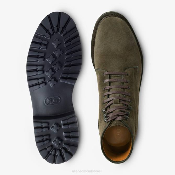 Allen Edmonds homens bota higgins mill com solado 68T8D135 loden