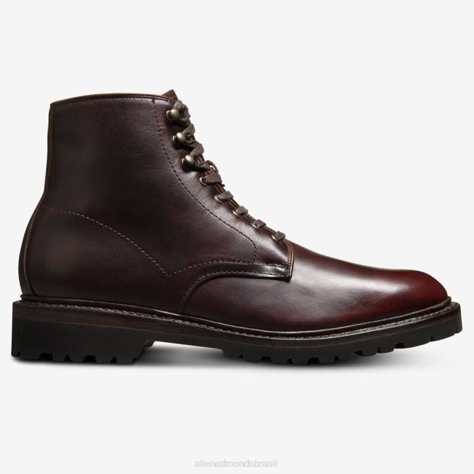 Allen Edmonds homens bota higgins mill à prova de intempéries com sola lug 68T8D261 Borgonha