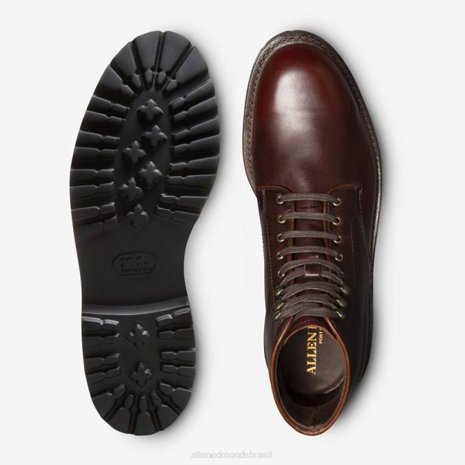 Allen Edmonds homens bota higgins mill à prova de intempéries com sola lug 68T8D261 Borgonha