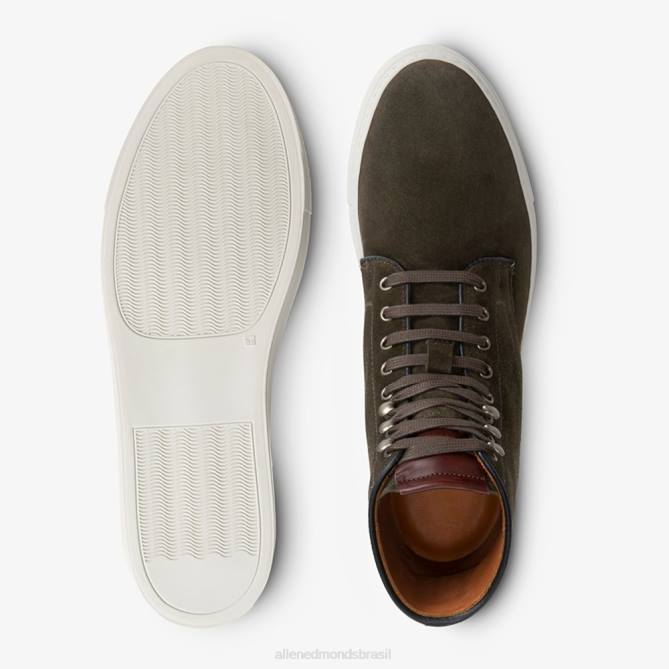 Allen Edmonds homens higgins mill tênis cano alto 68T8D425 camurça loden