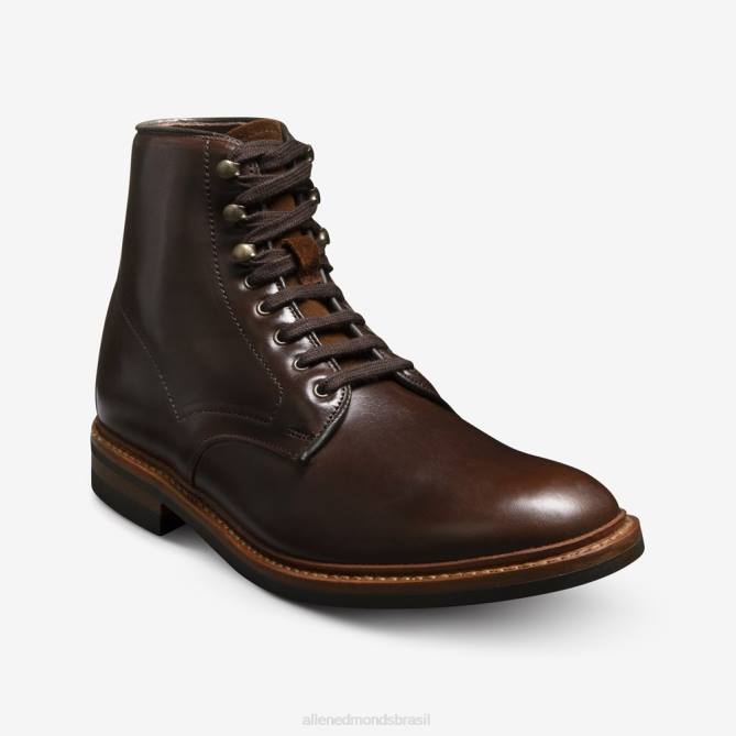Allen Edmonds homens Higgins Mill bota à prova de intempéries 68T8D282 couro cromexcel marrom