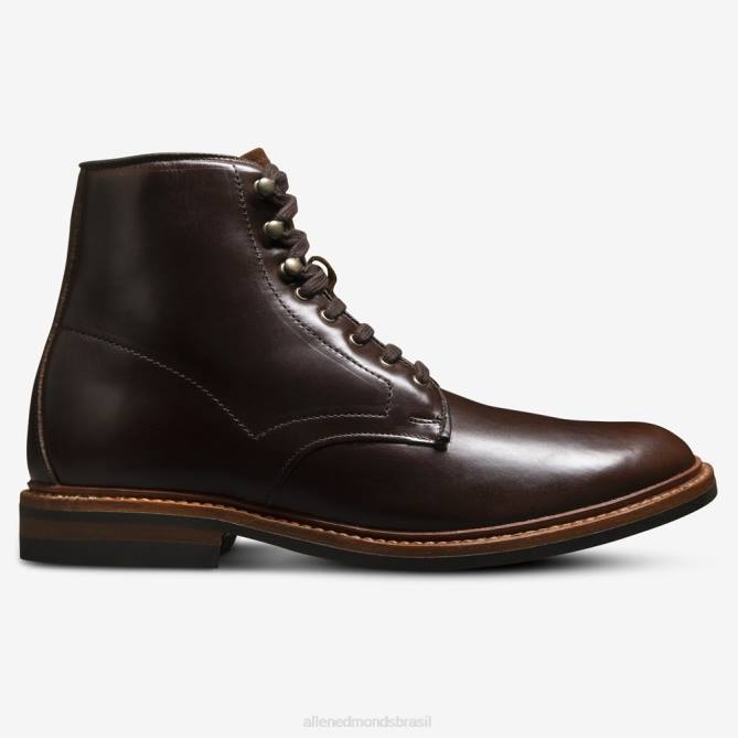 Allen Edmonds homens Higgins Mill bota à prova de intempéries 68T8D282 couro cromexcel marrom