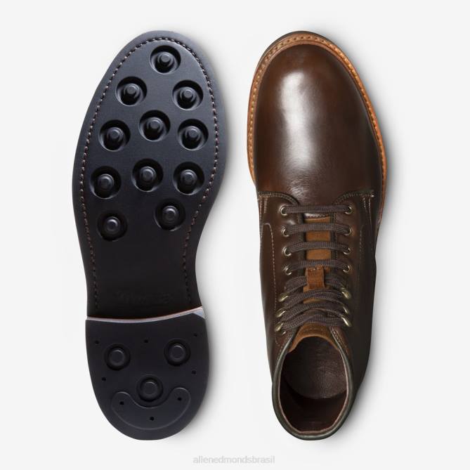 Allen Edmonds homens Higgins Mill bota à prova de intempéries 68T8D282 couro cromexcel marrom