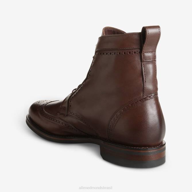 Allen Edmonds homens bota dalton à prova de intempéries com sola de borracha dainite 68T8D134 marrom
