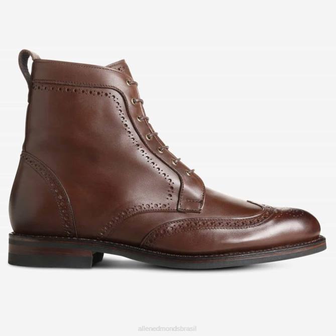 Allen Edmonds homens bota dalton à prova de intempéries com sola de borracha dainite 68T8D134 marrom