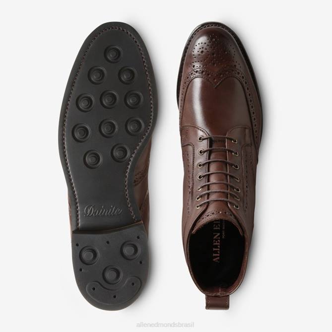 Allen Edmonds homens bota dalton à prova de intempéries com sola de borracha dainite 68T8D134 marrom