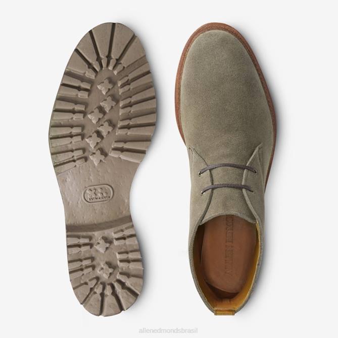 Allen Edmonds homens bota chukka descoberta 68T8D347 camurça cravo