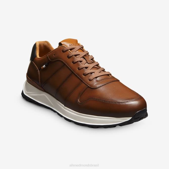 Allen Edmonds homens Lawson tênis com cadarço 68T8D335 couro castanho