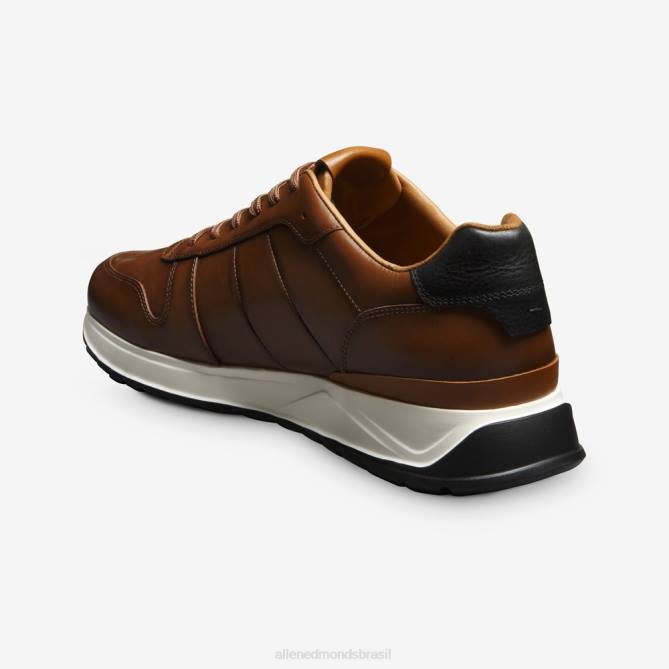 Allen Edmonds homens Lawson tênis com cadarço 68T8D335 couro castanho