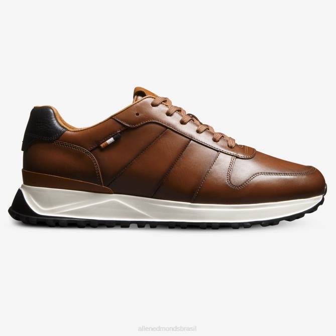 Allen Edmonds homens Lawson tênis com cadarço 68T8D335 couro castanho