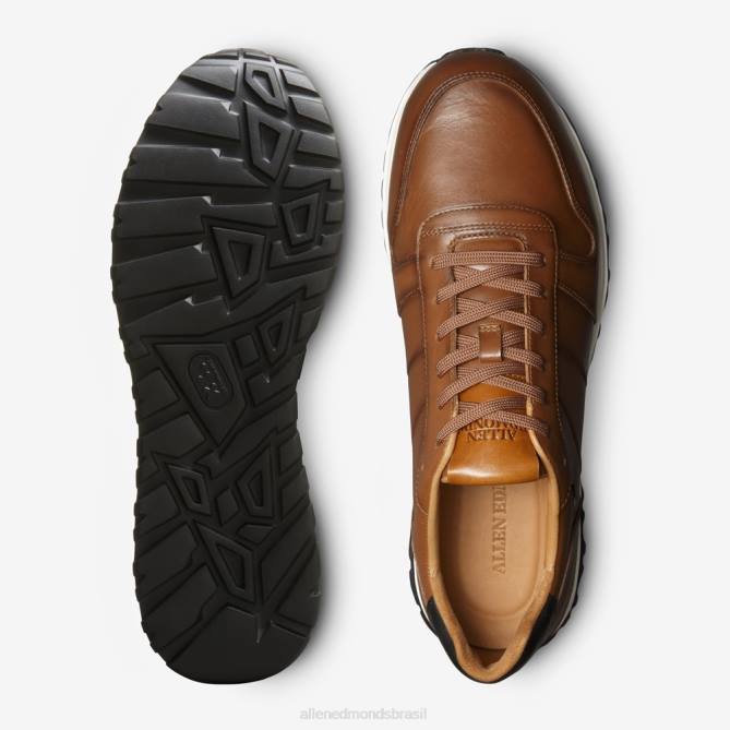 Allen Edmonds homens Lawson tênis com cadarço 68T8D335 couro castanho
