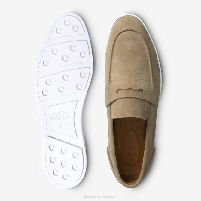 Allen Edmonds homens randolph tênis de camurça sem cadarço 68T8D22 camurça óssea