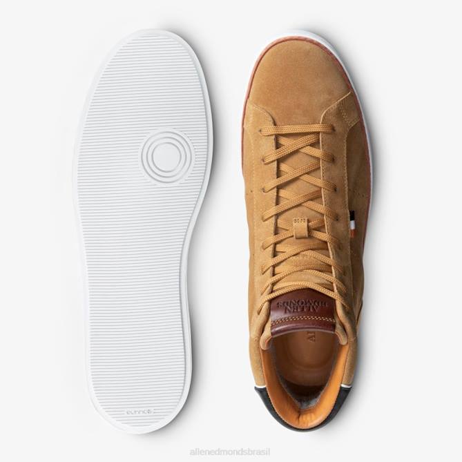 Allen Edmonds homens tênis cano alto alpha 68T8D97 camurça bege