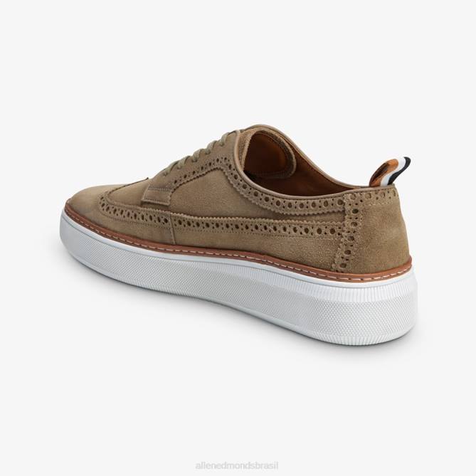 Allen Edmonds homens tênis derby wingtip de camurça tremont 68T8D109 osso
