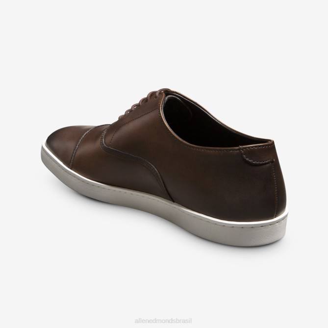 Allen Edmonds homens tênis park avenue oxford 68T8D63 bourbon brown