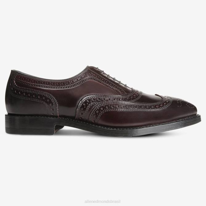 Allen Edmonds homens sapato social cambridge shell cordovan wingtip 68T8D49 Borgonha