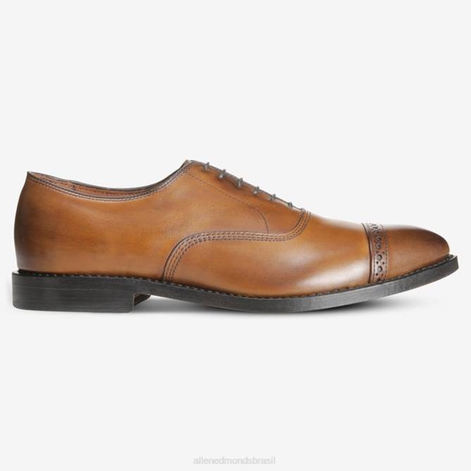 Allen Edmonds homens quinta avenida cap toe oxford 68T8D112 bourbon