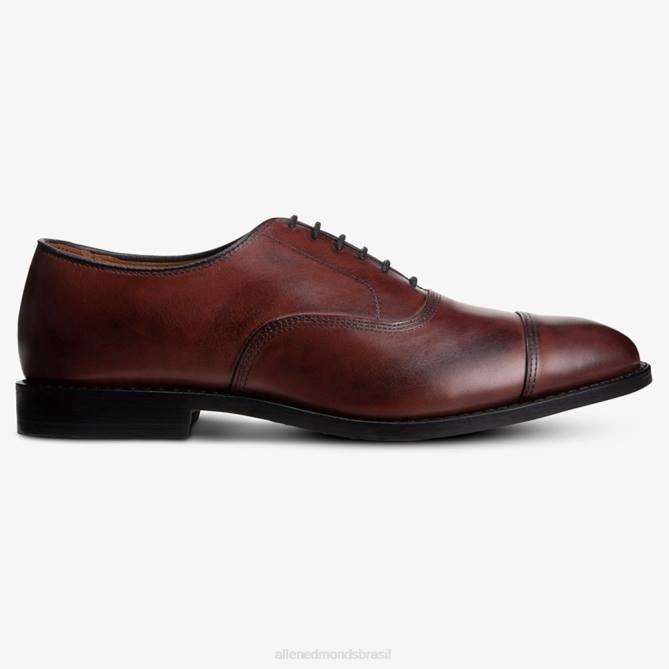 Allen Edmonds homens sapato social oxford bico fino park avenue 68T8D16 bordeaux