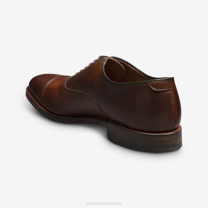 Allen Edmonds homens sapato social oxford bico fino park avenue 68T8D1 pimentão escuro