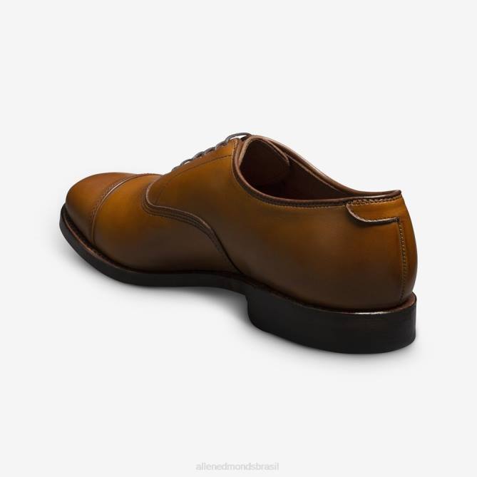 Allen Edmonds homens sapato social oxford bico fino park avenue 68T8D41 noz marrom