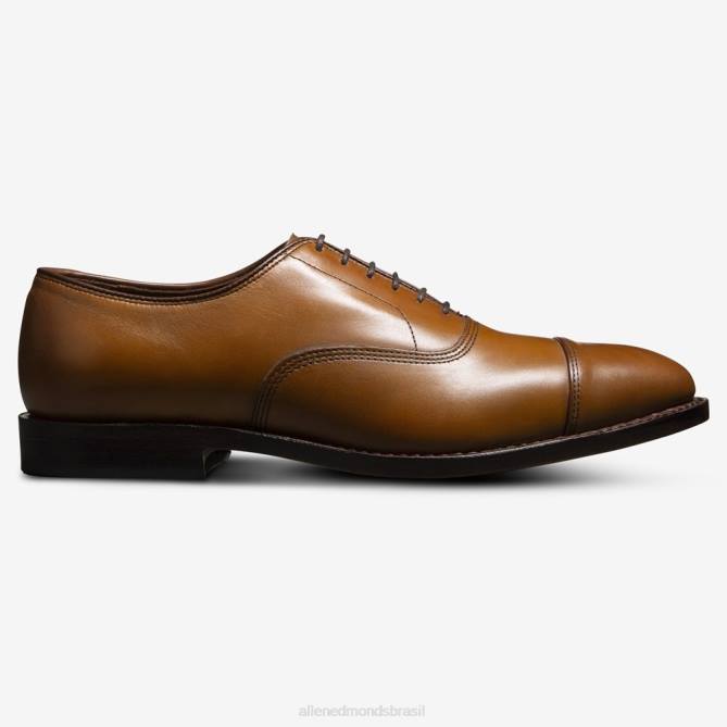 Allen Edmonds homens sapato social oxford bico fino park avenue 68T8D41 noz marrom