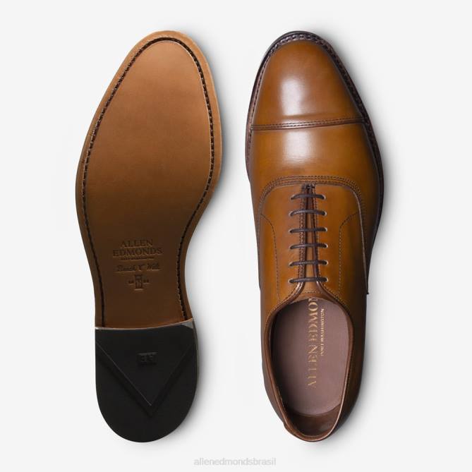 Allen Edmonds homens sapato social oxford bico fino park avenue 68T8D41 noz marrom