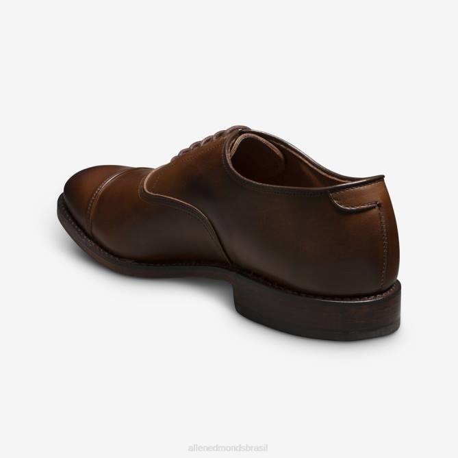 Allen Edmonds homens sapato social oxford bico fino park avenue 68T8D42 marrom café