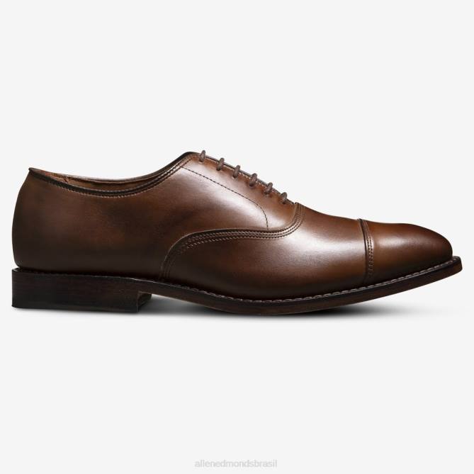 Allen Edmonds homens sapato social oxford bico fino park avenue 68T8D42 marrom café