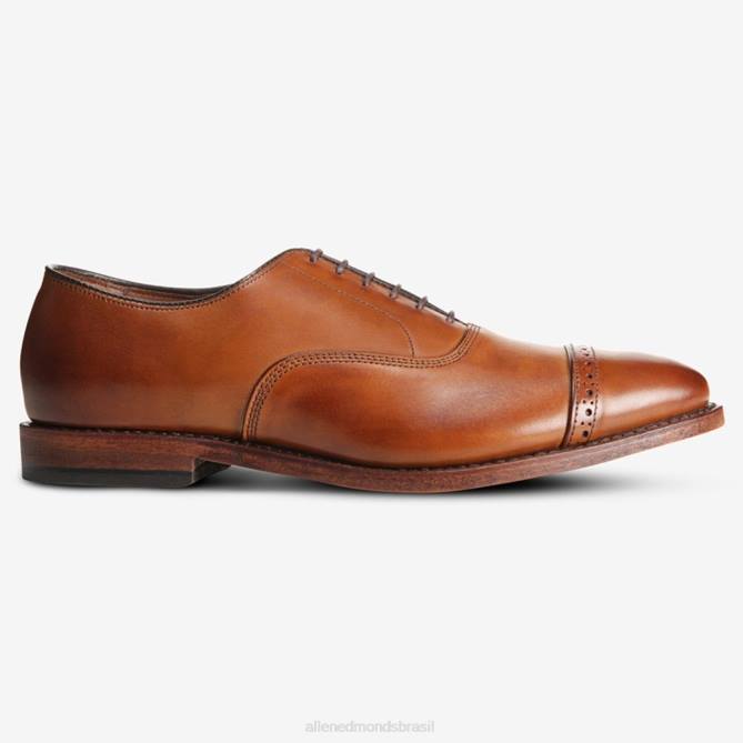 Allen Edmonds homens sapato social oxford bico fino quinta avenida 68T8D311 noz marrom