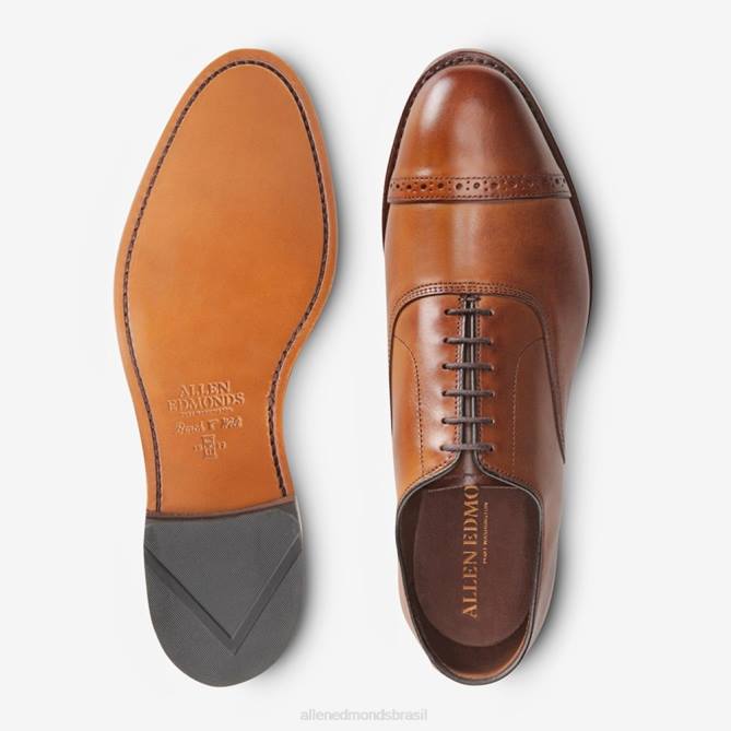 Allen Edmonds homens sapato social oxford bico fino quinta avenida 68T8D311 noz marrom