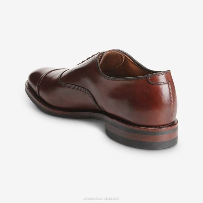Allen Edmonds homens sapato social park avenue oxford cap toe com sola dainite 68T8D12 pimentão escuro
