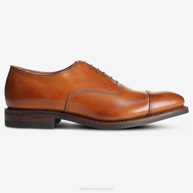 Allen Edmonds homens sapato social park avenue oxford cap toe com sola dainite 68T8D237 noz marrom