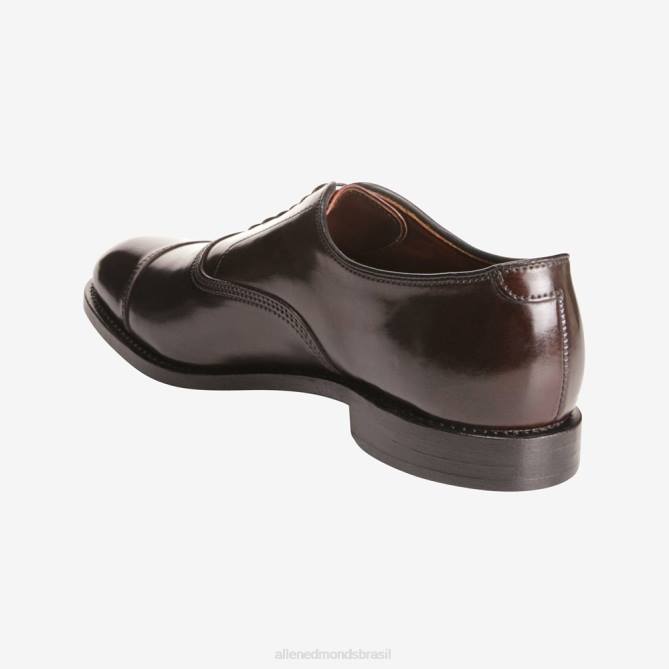 Allen Edmonds homens sapato social park avenue shell cordovan oxford cap toe 68T8D276 cordovão marrom
