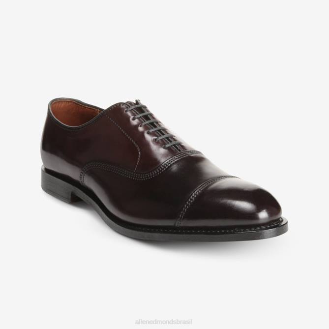 Allen Edmonds homens sapato social park avenue shell cordovan oxford cap toe 68T8D277 bordô de cordovão