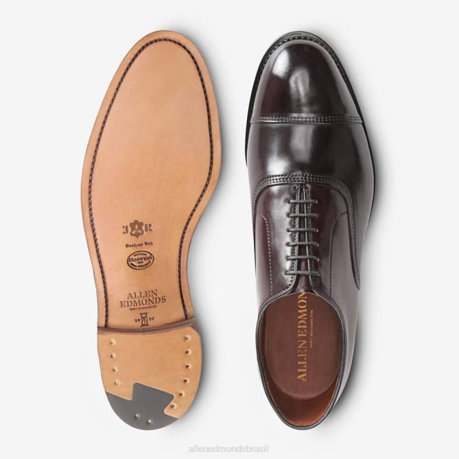 Allen Edmonds homens sapato social park avenue shell cordovan oxford cap toe 68T8D277 bordô de cordovão