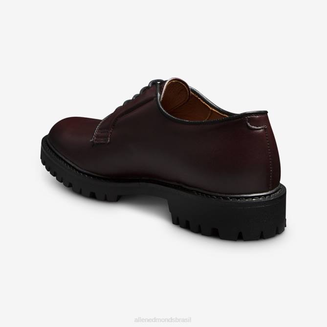 Allen Edmonds homens lennon lug derby 68T8D105 couro bordô