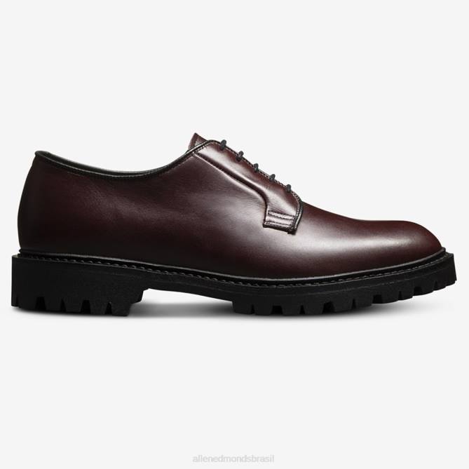 Allen Edmonds homens lennon lug derby 68T8D105 couro bordô