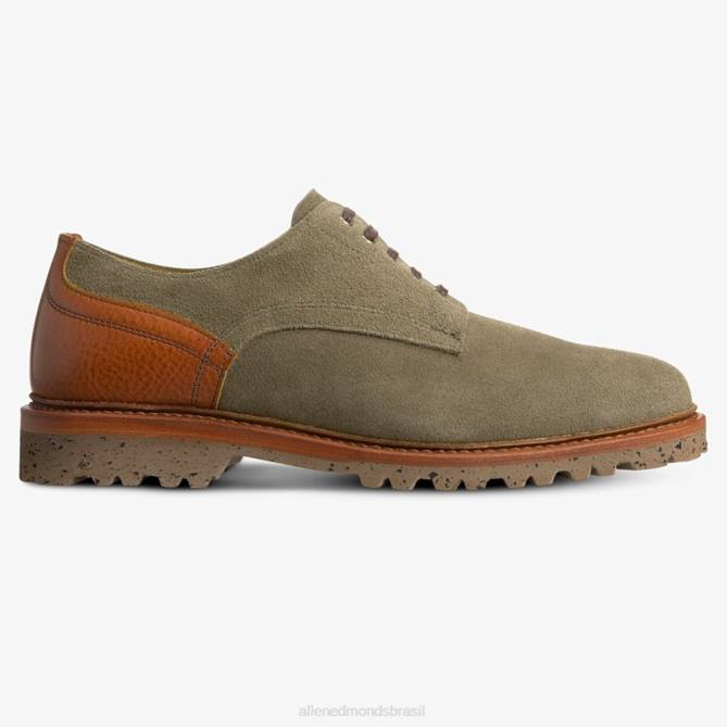Allen Edmonds homens sapato derby de camurça Discovery 68T8D454 cravo/conhaque