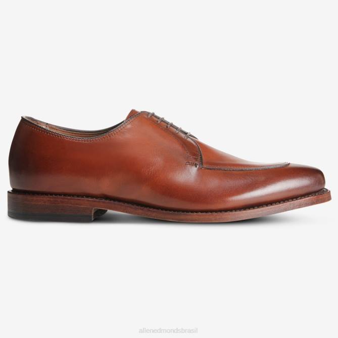 Allen Edmonds homens sapato social delray blucher 68T8D374 pimentão escuro