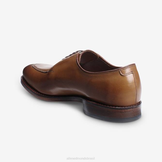 Allen Edmonds homens sapato social delray blucher 68T8D375 noz marrom
