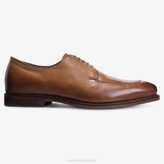 Allen Edmonds homens sapato social delray blucher 68T8D375 noz marrom